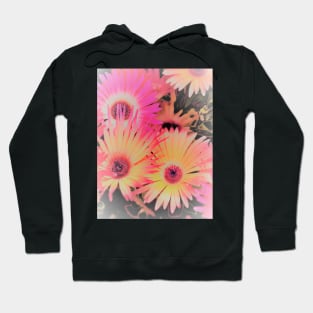 HAZY NEON  DAISIES House of Harlequin Hoodie